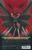 BATMAN BY PAUL DINI OMNIBUS HC [9781779505514]